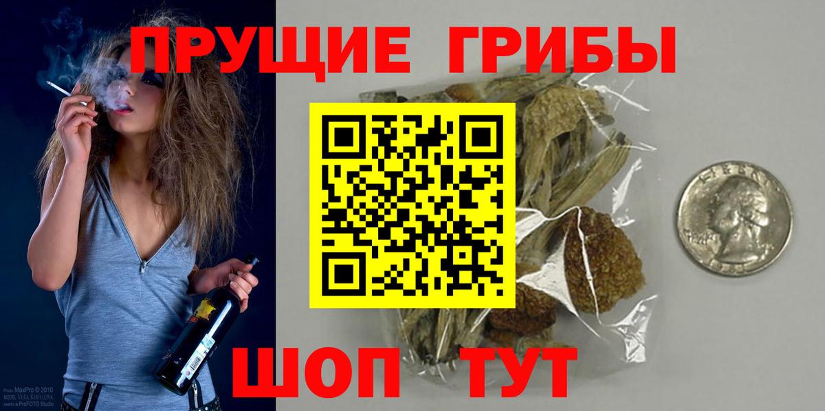 Саров  Галлюциногенные грибы Magic Shrooms  Вход с VPN 