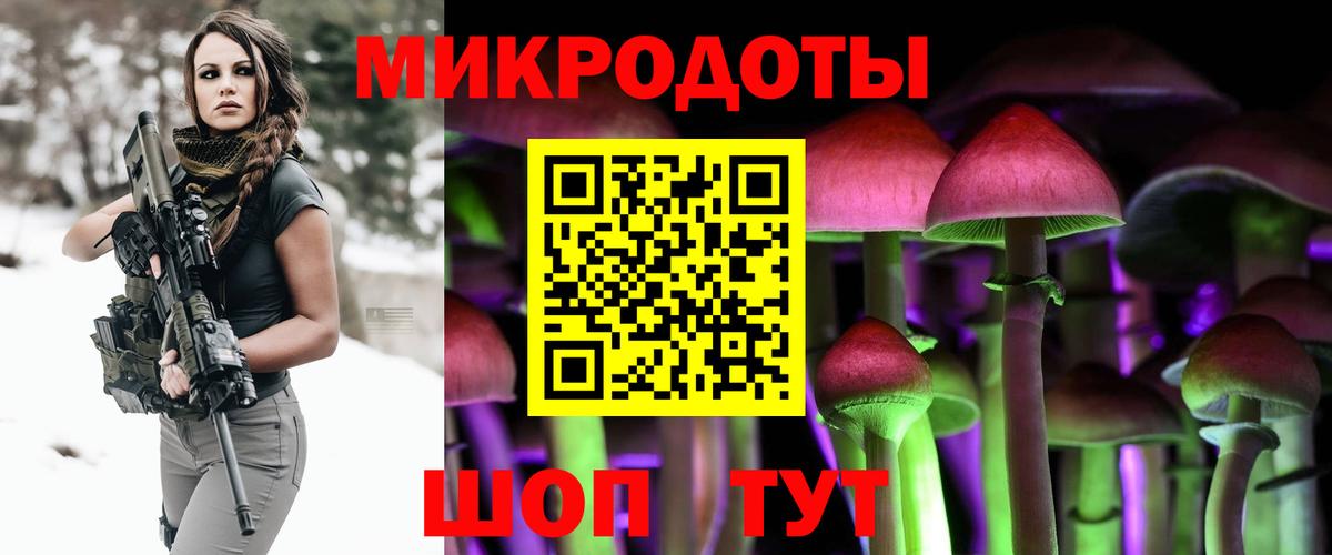 Псилоцибиновые грибы Psilocybe Саров